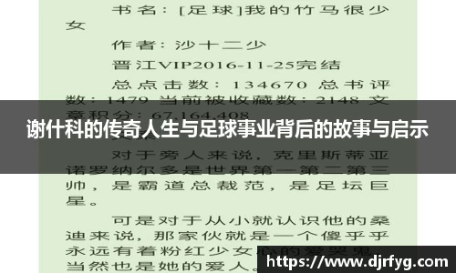 谢什科的传奇人生与足球事业背后的故事与启示